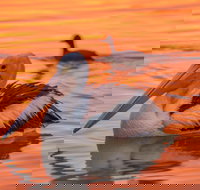 4 Pelican Court - River Shack Rentals - New Castle Holiday