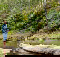 Bass Lodge - New Castle Holiday