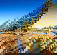 Beachport Caravan Park - New Castle Holiday