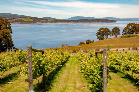 Beaupre Farm - New Castle Holiday 0