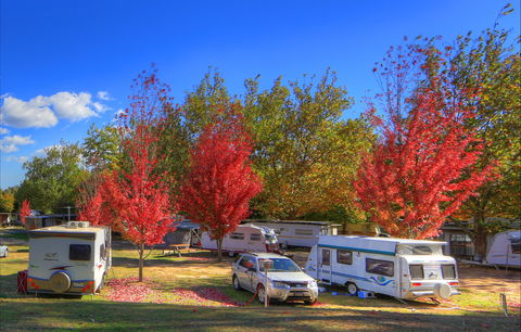 Beechworth Lake Sambell Caravan Park - New Castle Holiday 0