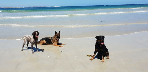 BIG4 Warrnambool Figtree Holiday Park - New Castle Holiday 2