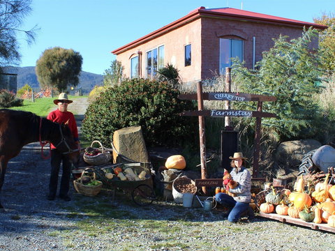 Cherry Top Accommodation - Cherry Top - New Castle Holiday 0