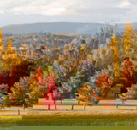 City Centre Motor Inn - New Castle Holiday