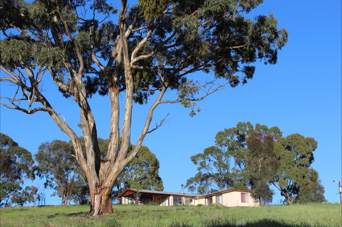 Clare View Accommodation - Clare View Cottage - New Castle Holiday 2