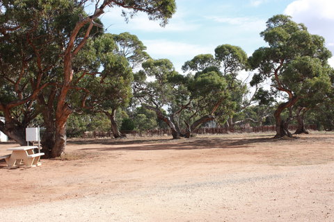 Cleve Showgrounds RV Park - New Castle Holiday 1