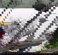 Clyde River Cottage - New Castle Holiday