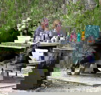 Cypress-pine campground - New Castle Holiday