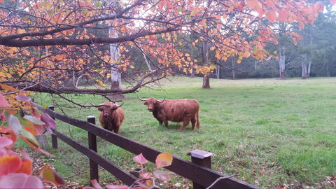 Dingley Dell - New Castle Holiday 0