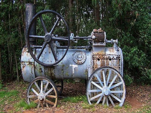 Dingo Tops Campground - New Castle Holiday 1