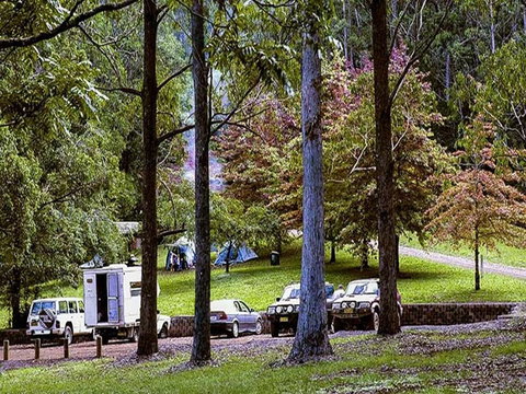 Dingo Tops Campground - New Castle Holiday 2