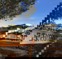 Echidna on Bruny - New Castle Holiday