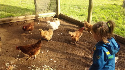 Emerald Park Holiday Farm - New Castle Holiday 2