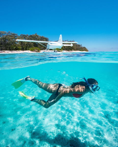 Heron Island Resort - New Castle Holiday 1
