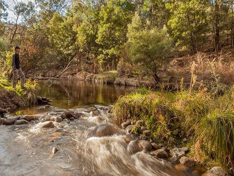 Jacobs River Campground - New Castle Holiday 2