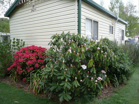 Jenolan Caravan Park - New Castle Holiday 0