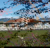 Little Sunnyside Accommodation - New Castle Holiday