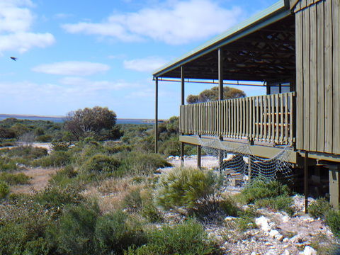 Melaleuca - Eco And Pet Friendly,  Harbor Point Cabins - New Castle Holiday 1