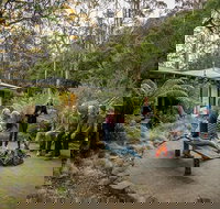 The Residence - New Castle Holiday