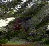 Turkeys Nest Rainforest Cottages Mt Glorious - New Castle Holiday