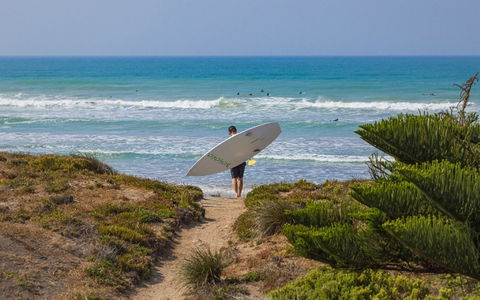 208 Surfers Pde - New Castle Holiday 1