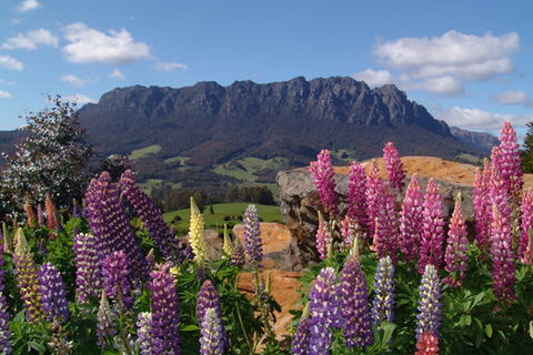 AAA Granary Accommodation - The Last Resort - New Castle Holiday 0