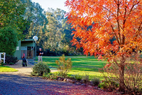 Airtree Golfers Resort - New Castle Holiday 0