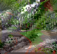 Allure - New Castle Holiday