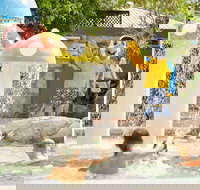 Ashmore Palms Holiday Village - New Castle Holiday