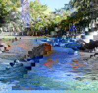 Big4 Aussie Outback Oasis Holiday Park - New Castle Holiday