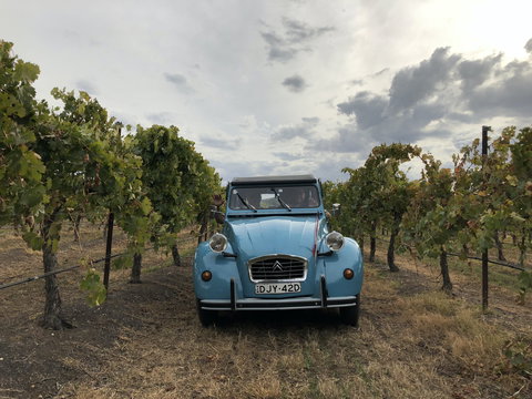 Birches Bed And Breakfast Mudgee - New Castle Holiday 2