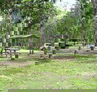 Broadwater camping area Abergowrie State Forest - New Castle Holiday