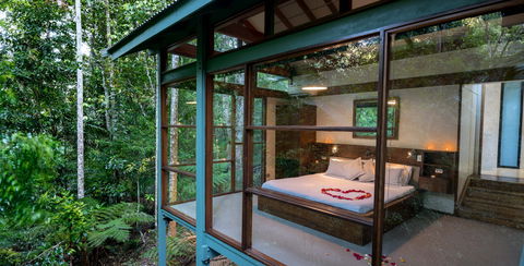 Crystal Creek Rainforest Retreat - New Castle Holiday 2