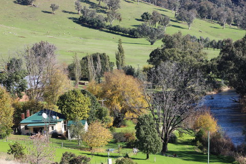 Elm Cottage Tumut - New Castle Holiday 1