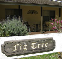 Figtree Cottage - New Castle Holiday