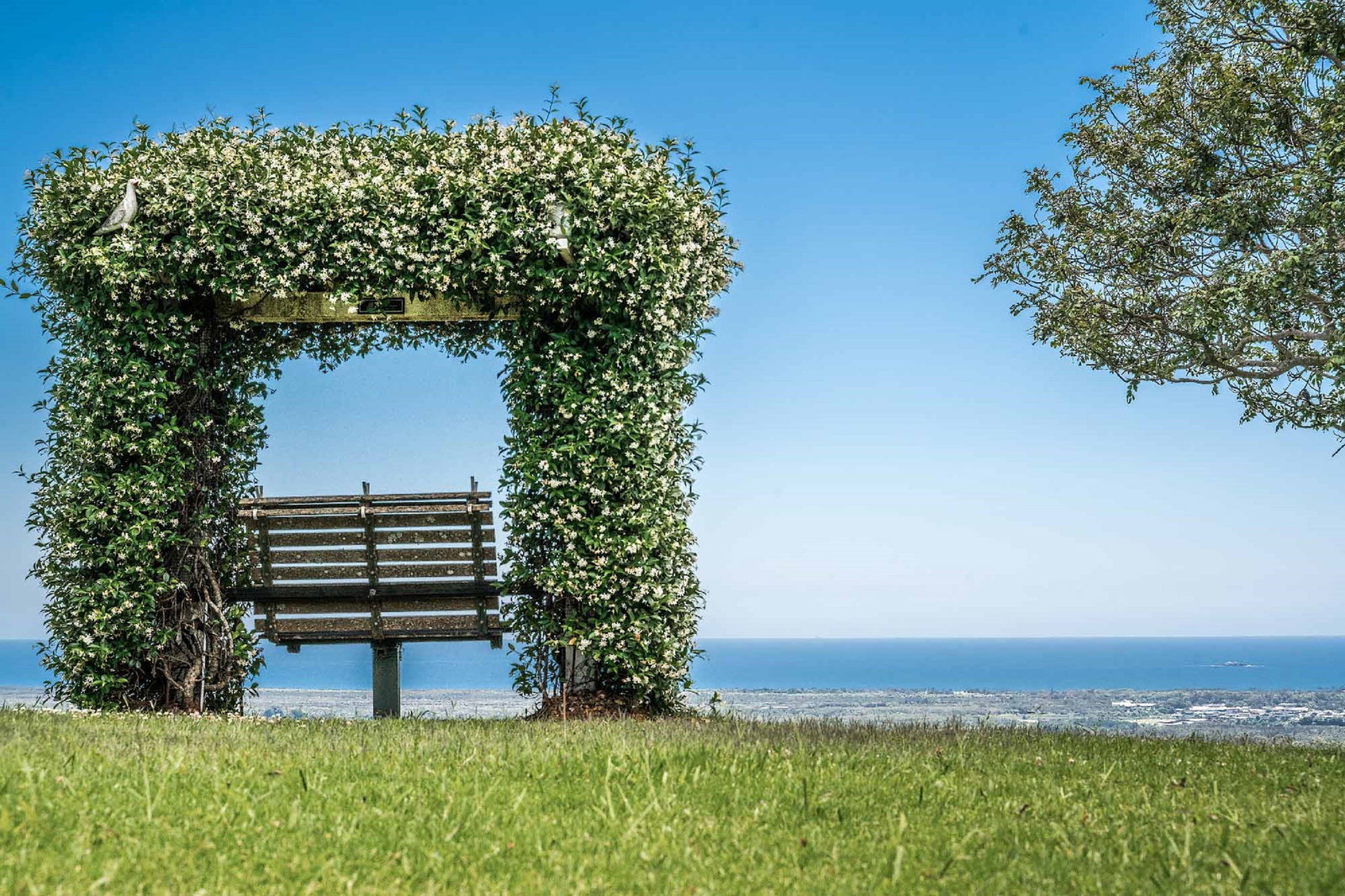 Mcleods Shoot NSW New Castle Holiday