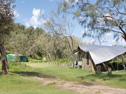 Pebbly Beach Campground - Yuraygir National Park - New Castle Holiday 0