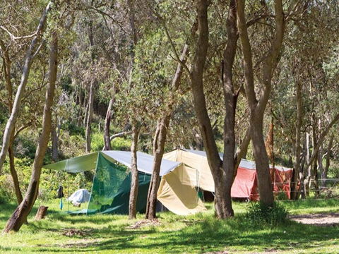 Pebbly Beach Campground - Yuraygir National Park - New Castle Holiday 1