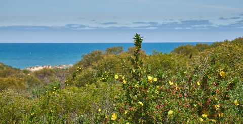 Preston Beach Front Apartment - New Castle Holiday 0