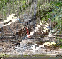 Rakhi Retreat - New Castle Holiday