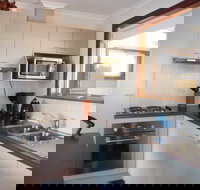 Seashells - New Castle Holiday