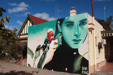 The Lodge Outback Motel - New Castle Holiday 1