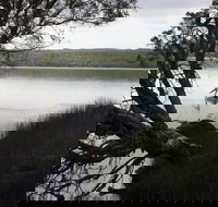 The Cove - New Castle Holiday