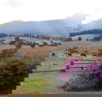 The Barn  House Farm Stay at Possum Manor - New Castle Holiday