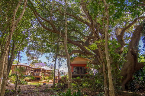 The African Village - By Clouds - New Castle Holiday 0