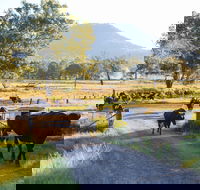 Tommerups Dairy Farmstay - New Castle Holiday