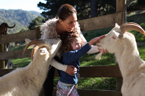 Valley View Nature Retreat - New Castle Holiday 1