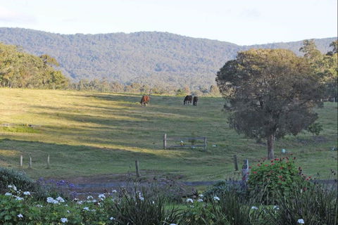 Wallaby Cottage - New Castle Holiday 0