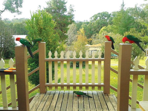 Warrumbungles Mountain Motel - New Castle Holiday 0