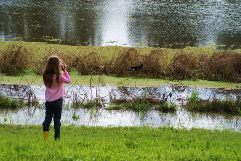 Wilga Hotel - New Castle Holiday 0